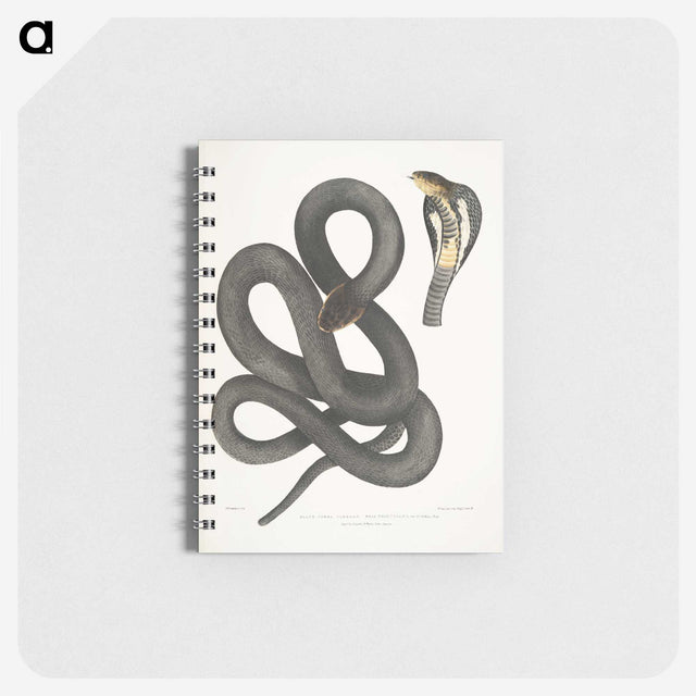 1-15_Indian-Zoology_memo