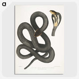 1-15_Indian-Zoology_picture-crop