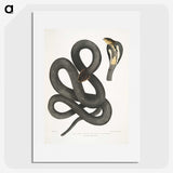 1-15_Indian-Zoology_picture