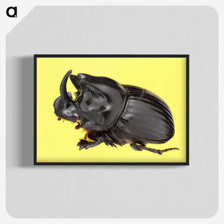1-15_Insects-Unlocked-Project_blk-crop