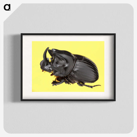 1-15_Insects-Unlocked-Project_blk