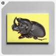 1-15_Insects-Unlocked-Project_canvas