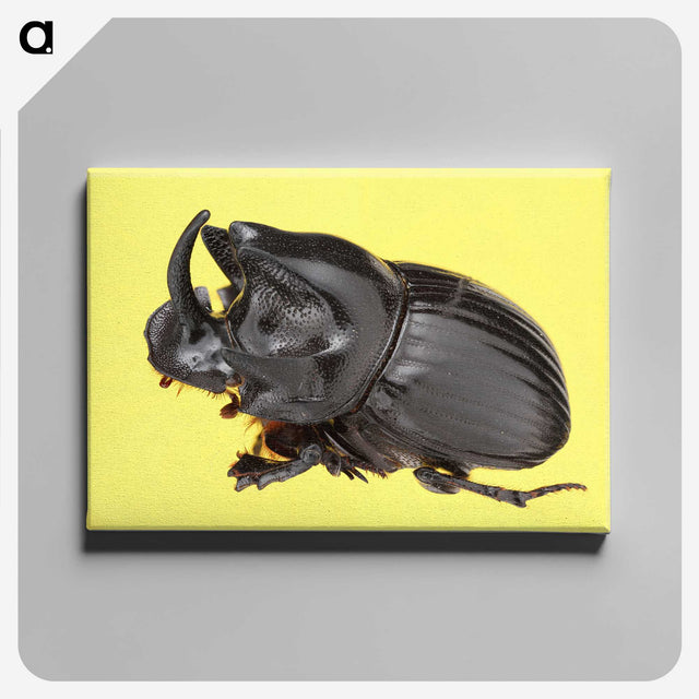 1-15_Insects-Unlocked-Project_canvas