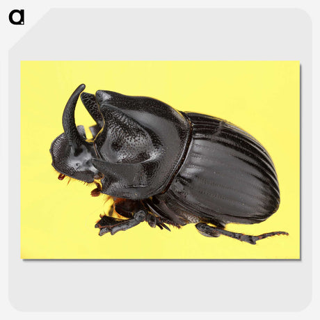 1-15_Insects-Unlocked-Project_picture-crop