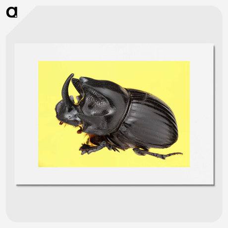 1-15_Insects-Unlocked-Project_picture