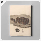 1-15_James-Heath_canvas