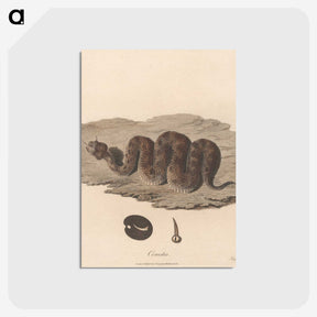 1-15_James-Heath_postcard