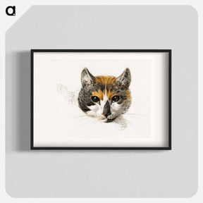 アートポスター-Head of a calico cat with open eyes - ジャン ベルナール Poster.