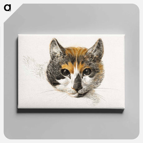アートパネル-Head of a calico cat with open eyes - ジャン ベルナール Canvas.