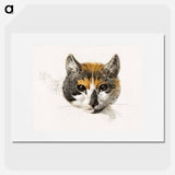 Head of a calico cat with open eyes - Jean Bernard Poster.