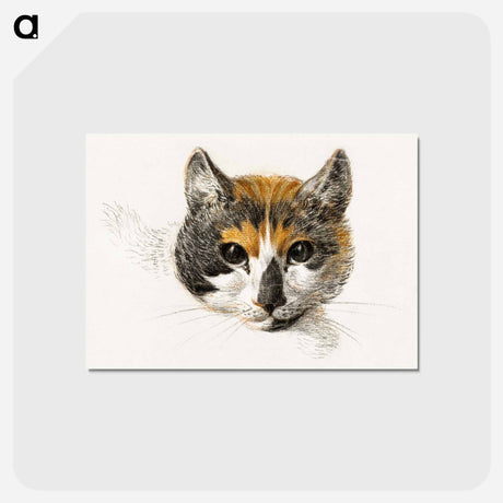 アートポストカード-Head of a calico cat with open eyes - ジャン ベルナール Postcard.