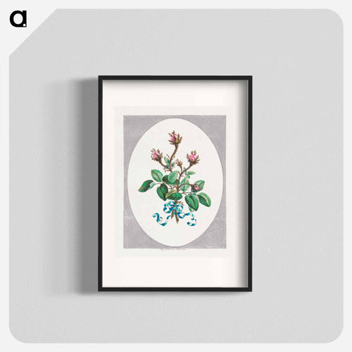 Moss Province Rose Buds
 - ジョン エドワーズ Poster.