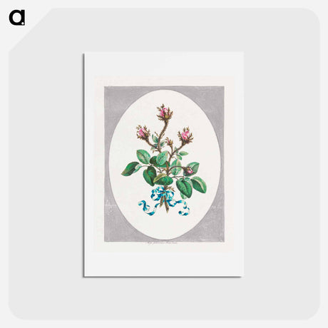 アートポストカード-Moss Province Rose Buds
 - ジョン エドワーズ Postcard.