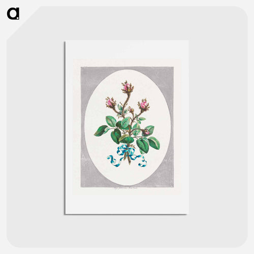 Moss Province Rose Buds
 - ジョン エドワーズ Postcard.