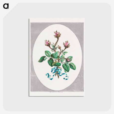 アートポストカード-Moss Province Rose Buds
 - ジョン エドワーズ Postcard.
