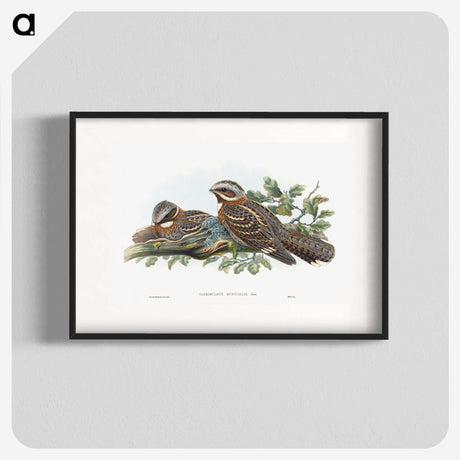 1-15_John-Gould_blk
