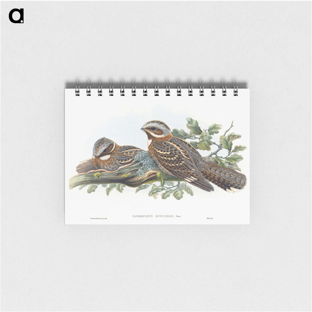 1-15_John-Gould_memo