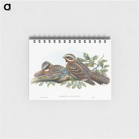 1-15_John-Gould_memo