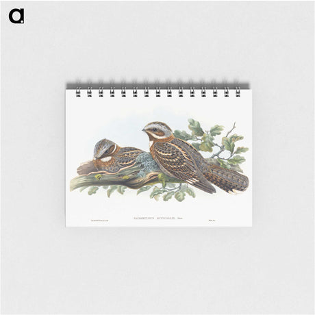 1-15_John-Gould_memo