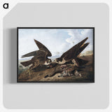1-15_John-James-Audubon_blk-crop