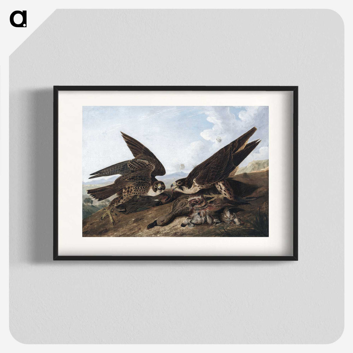 1-15_John-James-Audubon_blk