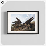 1-15_John-James-Audubon_blk