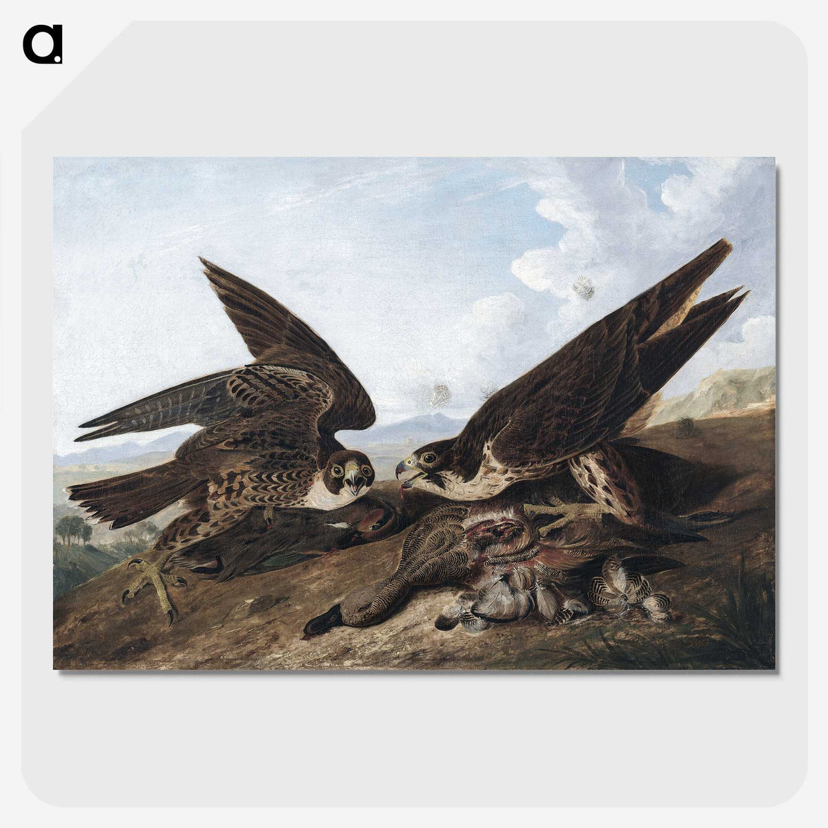 1-15_John-James-Audubon_picture-crop
