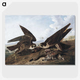 1-15_John-James-Audubon_picture-crop