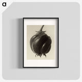 1-15_Karl-Blossfeldt_blk