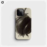 1-15_Karl-Blossfeldt_phone