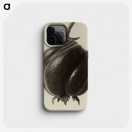 1-15_Karl-Blossfeldt_phone