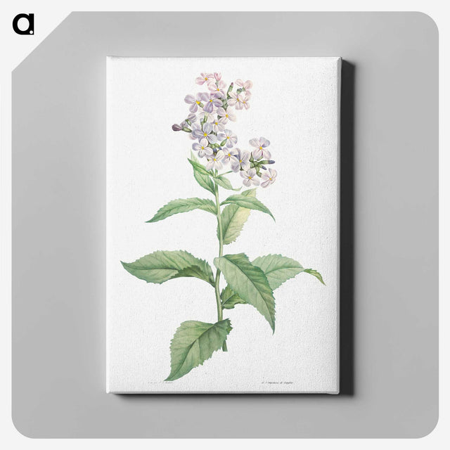 1-15_La-Botanique_canvas