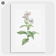 1-15_La-Botanique_picture