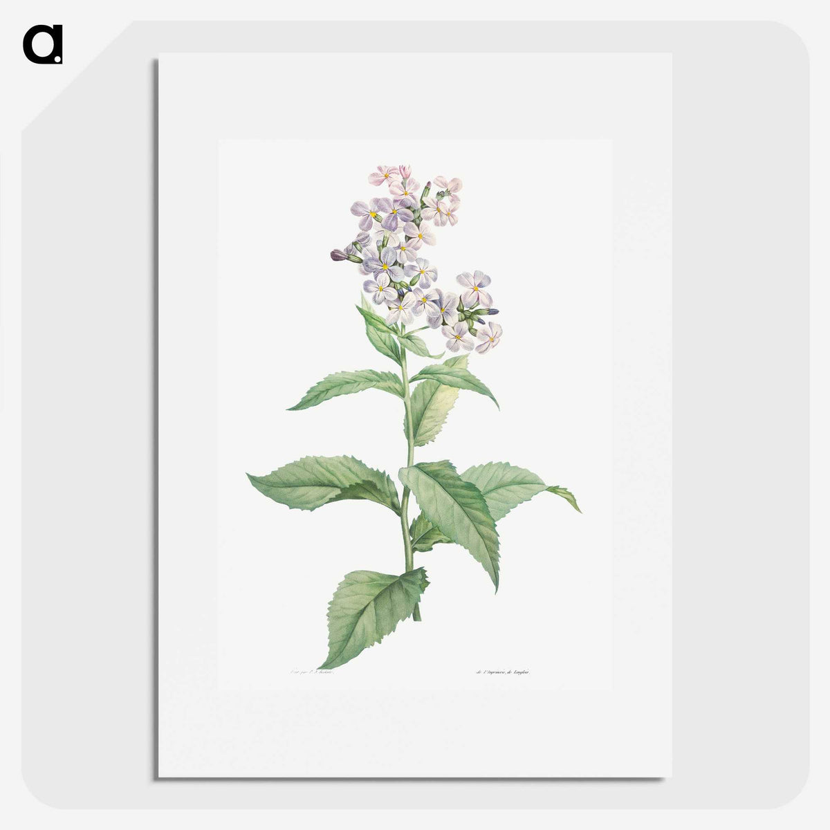 1-15_La-Botanique_picture