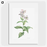 1-15_La-Botanique_picture