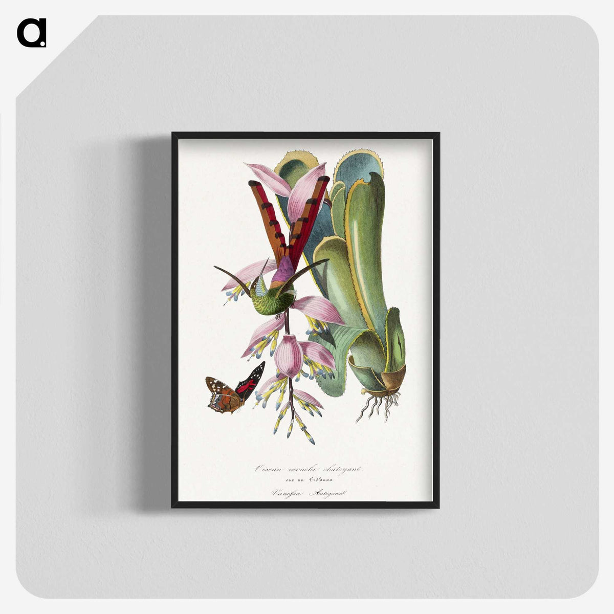1-15_Le-Jardin-des-Plantes_blk-crop