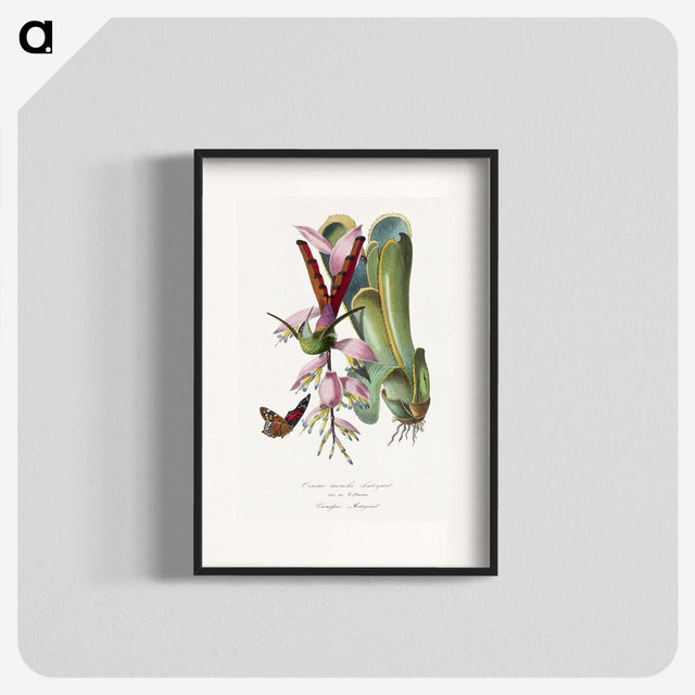 1-15_Le-Jardin-des-Plantes_blk