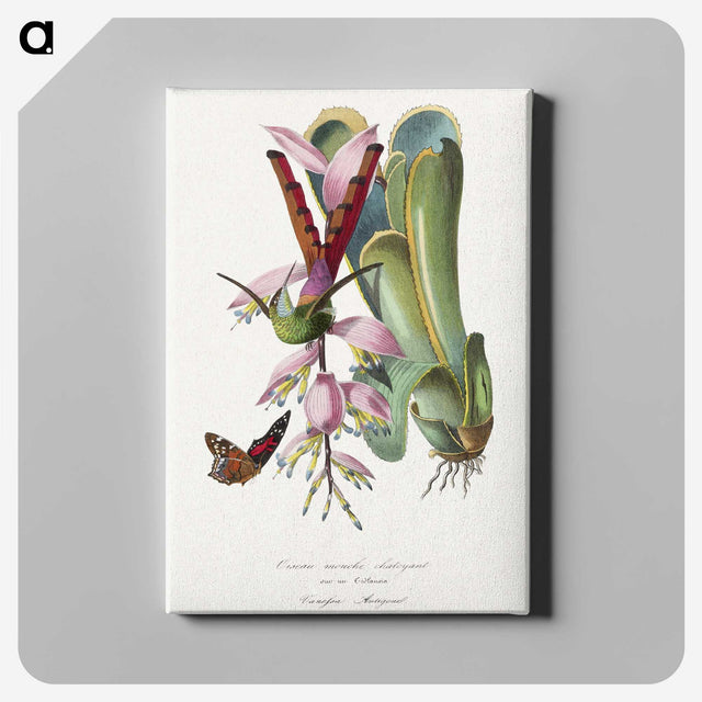 1-15_Le-Jardin-des-Plantes_canvas