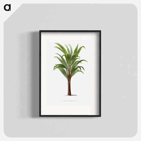 1-15_Les-Palmiers-Histoire-Iconographique_blk