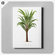 1-15_Les-Palmiers-Histoire-Iconographique_canvas