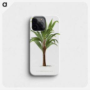 1-15_Les-Palmiers-Histoire-Iconographique_phone