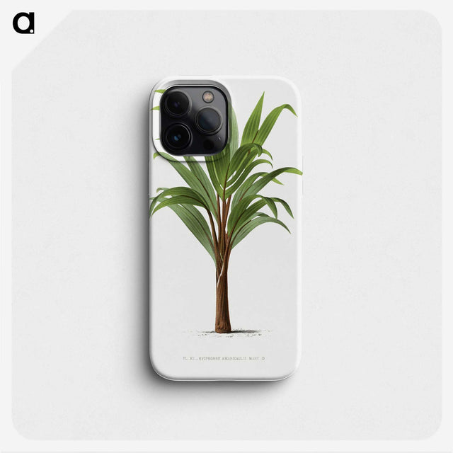 1-15_Les-Palmiers-Histoire-Iconographique_phone