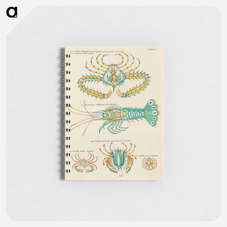 アートメモ帳-Indian and Pacific Ocean Fish
 - ルイ ルナール Memo.