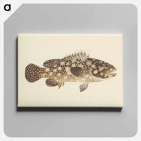 アートパネル-Unidentified Fish
 - ルイージ バルガーニ Canvas.