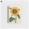 アートメモ帳-Helianthus annuus
 - マリア ジビーラ メーリアン Memo.