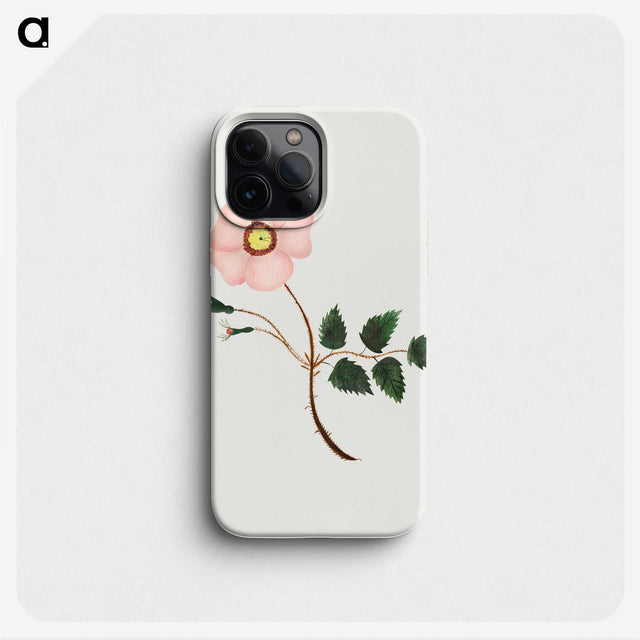 1-15_Mary-Altha-Nims_phone