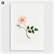 1-15_Mary-Altha-Nims_picture
