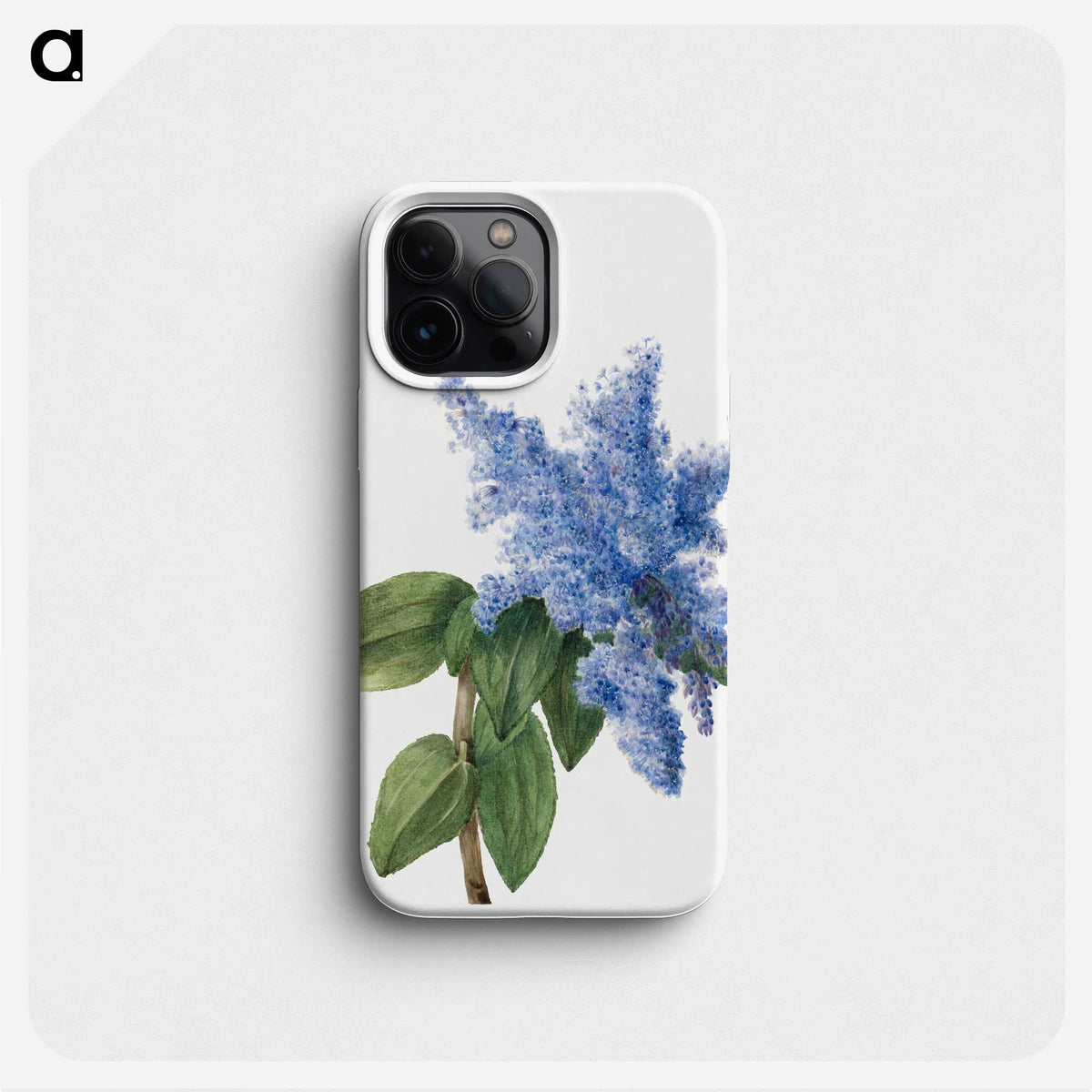 1-15_Mary-Vaux-Walcott_phone