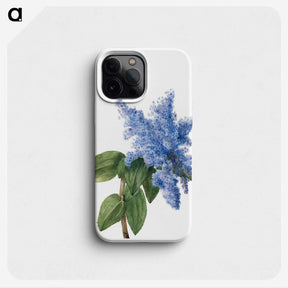 1-15_Mary-Vaux-Walcott_phone