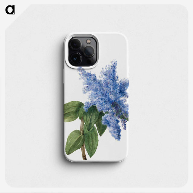 1-15_Mary-Vaux-Walcott_phone